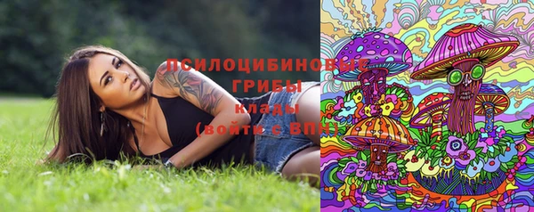 ECSTASY Алексеевка