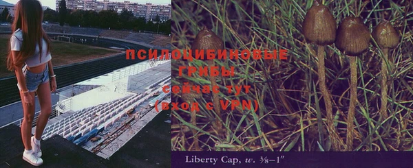 ECSTASY Алексеевка