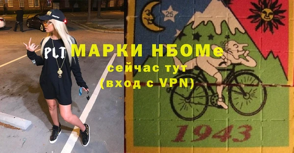 СК Алексин