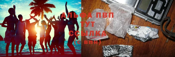 СК Алексин