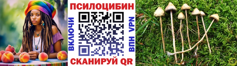 Галлюциногенные грибы мухоморы  наркотики  Сосенский 